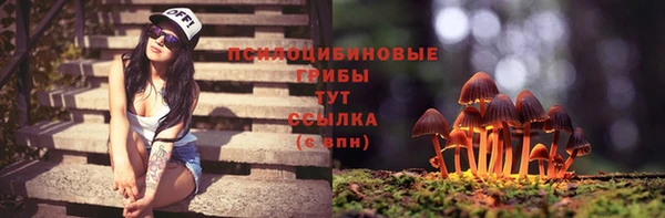 Альфа ПВП Гусев