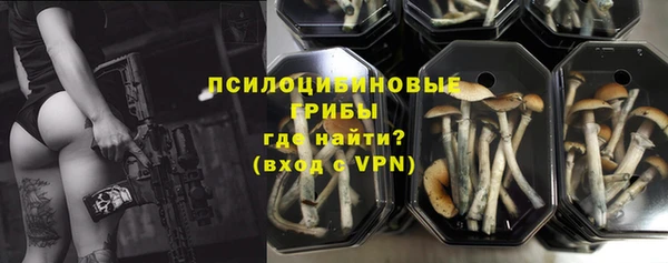apvp Гусиноозёрск