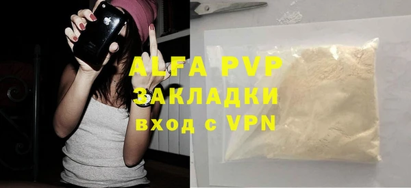 Альфа ПВП Гусев