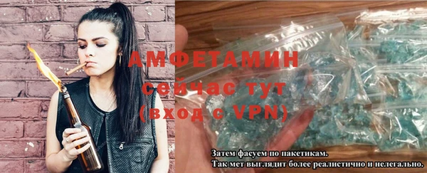Альфа ПВП Гусев