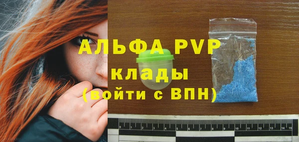 Альфа ПВП Гусев