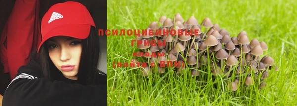 apvp Гусиноозёрск