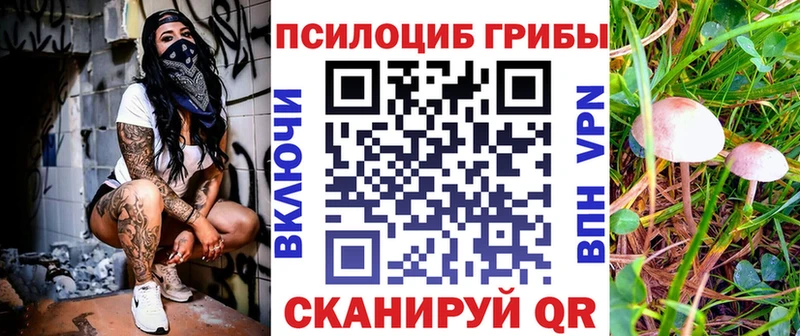 Галлюциногенные грибы ЛСД  Купить  Жердевка 